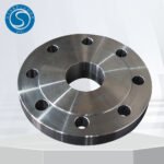 ASME B16.5 316 Flange