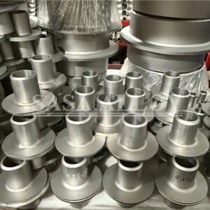 2507 شفة ملفوفة سوبر دوبلكس ASME B16 5, عرض المنتج الرئيسي
