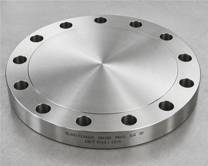ASME B16.5 合金ブラインド フランジ 1 1, 製品詳細ビュー