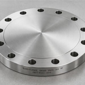 ASME B16.5 Alloy Blind Flange 1 1, main product view