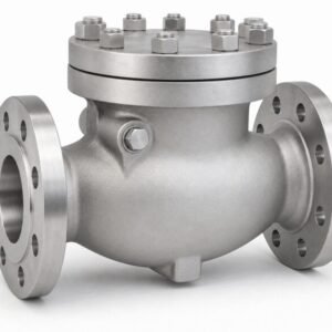254 SMO swing check valve with flanged ends and bolted cover